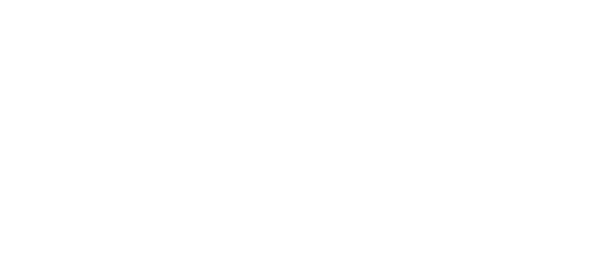 logo sp40 large